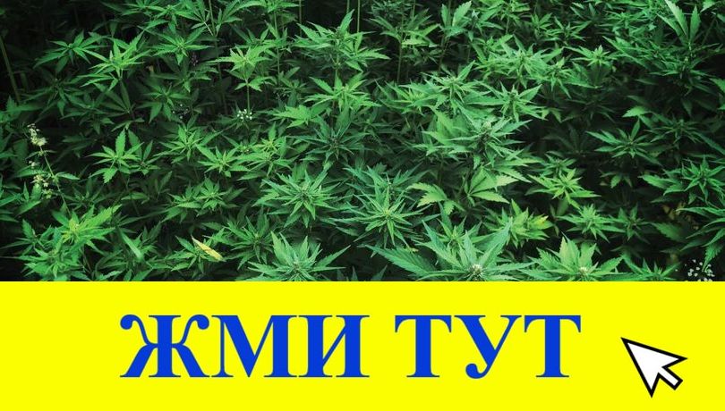 Купить наркотики в Тосно